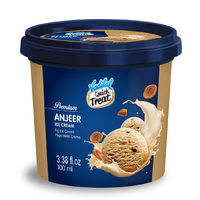 Vadilal Anjeer Ice Cream - 100 Ml