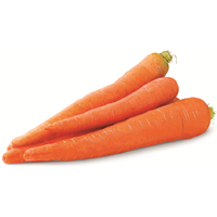 Carrots Cello Bag - Each