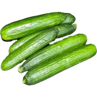 Pack Of Persian Cucumbers - Each - 1 Lb