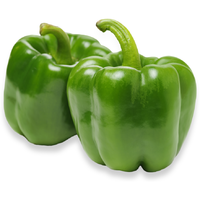 Green Bell Pepper - 0.50 Lb
