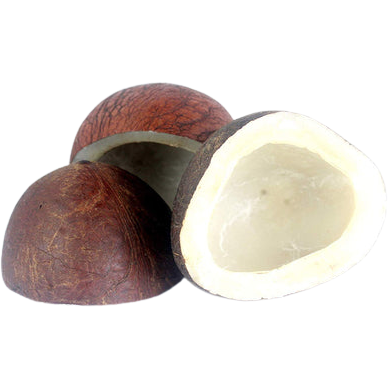 Bansi Dry Coconut - 454 Gm (1 Lb)